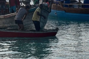 Zanzibar: Firhjuling fra Kendwa eller Nungwi