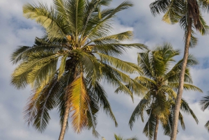 Zanzibar: Quad Off-Road Adventure | Kiwengwa