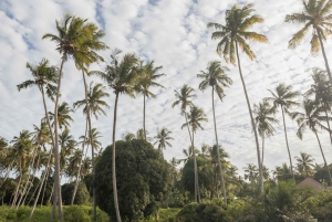 Zanzibar : aventure en quad tout-terrain | Kiwengwa