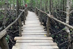 Zanzibar : Visite guidée des singes colobes rouges dans la forêt de Jozani