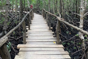Zanzibar: Red Colobus Monkeys in Jozani Forest Guided Tour