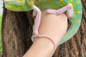 SANSIBAR: Reptilienpark, Jozani-Wald & Mtende-Strand – Tagestour