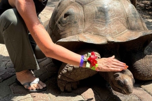 SANSIBAR: Reptilienpark, Jozani-Wald & Mtende-Strand – Tagestour