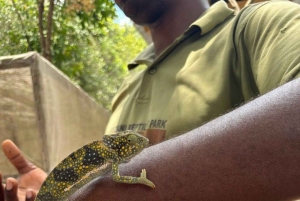 SANSIBAR: Reptilienpark, Jozani-Wald & Mtende-Strand – Tagestour