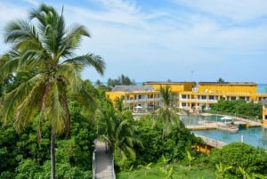 Zanzibar: 1 Day Pass all inclusive island Resort experience