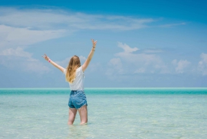 Zanzibar: 1 Day Pass all inclusive island Resort experience