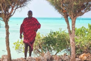 Zanzibar: 1 Day Pass all inclusive island Resort experience