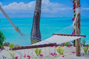 Zanzibar: 1 Day Pass all inclusive island Resort experience