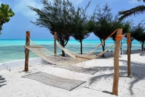 Zanzibar: 1 Day Pass all inclusive island Resort experience