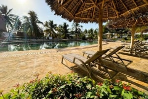 Zanzibar: 1 Day Pass all inclusive island Resort experience
