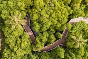 Zanzibar: 1 Day Pass all inclusive island Resort experience