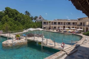 Zanzibar: 1 Day Pass all inclusive island Resort experience