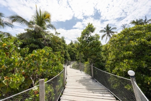 Zanzibar: 1 Day Pass all inclusive island Resort experience