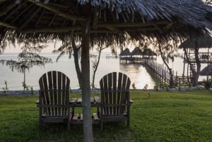 Zanzibar: 1 Day Pass all inclusive island Resort experience