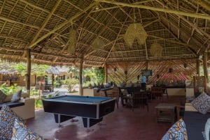 Zanzibar: 1 Day Pass all inclusive island Resort experience