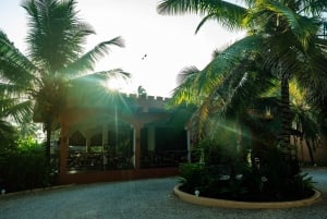 Zanzibar: 1 Day Pass all inclusive island Resort experience