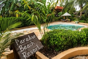 Zanzibar: 1 Day Pass all inclusive island Resort experience