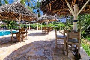 Zanzibar: 1 Day Pass all inclusive island Resort experience