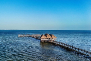 Zanzibar: 1 Day Pass all inclusive island Resort experience
