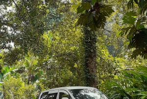 Nungwi: Taksi Sansibarin lentokentälle - 24/7 Yksityinen palvelu