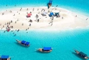 Zanzibar: Safari Blue Cruise med snorkling och lunch