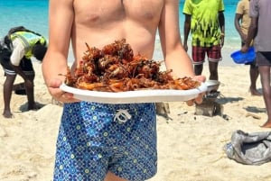 Zanzibar: Safari Blue Cruise med snorkling och lunch