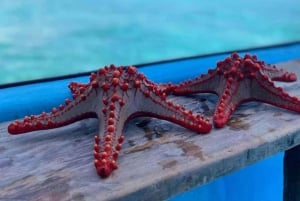 Zanzibar: Safari Blue Cruise med snorkling och lunch