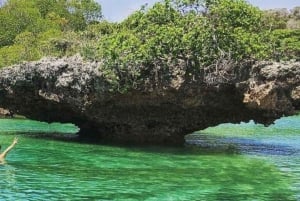 Zanzibar: Safari Blue Cruise med snorkling och lunch