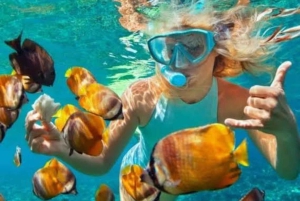 Zanzibar: Passeio de um dia Safari Blue com marisco e mergulho com snorkel