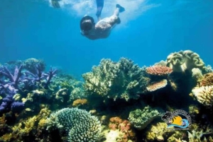 Zanzibar: Passeio de um dia Safari Blue com marisco e mergulho com snorkel