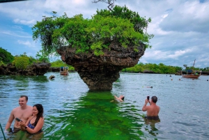 Занзибар: однодневная экскурсия Safari Blue с сноркелингом и обедом