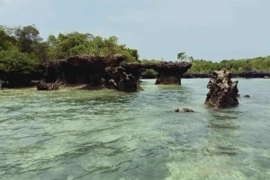 Занзибар: однодневная экскурсия Safari Blue с сноркелингом и обедом