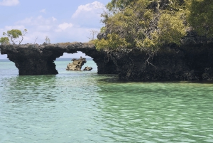 Занзибар: однодневная экскурсия Safari Blue с сноркелингом и обедом