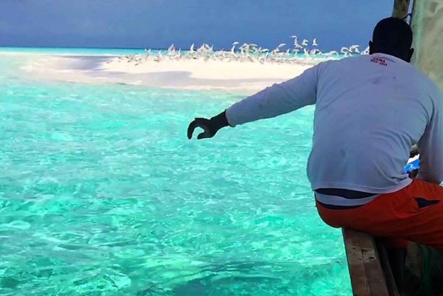 Zanzibar: safari med dhow, snorkling og lunsj