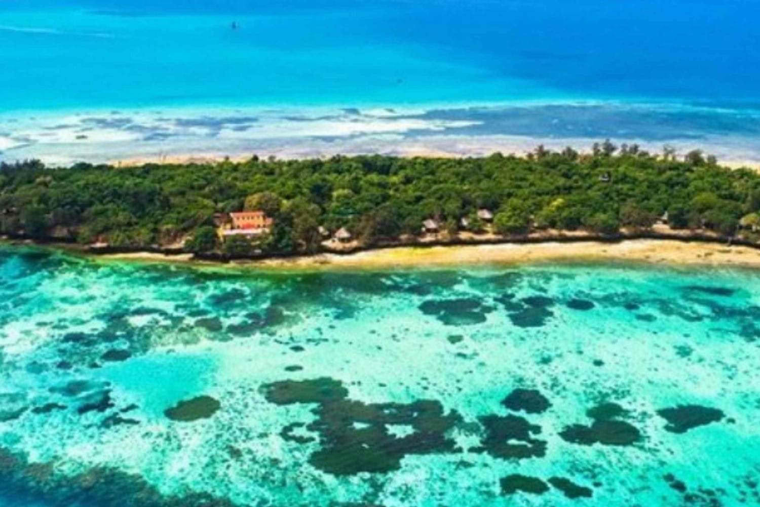 ザンジバル：サファリブルーダウ船クルーズ（シュノーケリング＆ランチ付き）