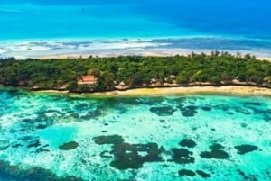 Zanzibar: safari med dhow, snorkling og lunsj