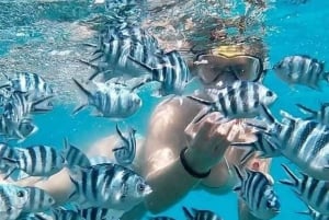 Zanzibar: safari med dhow, snorkling og lunsj