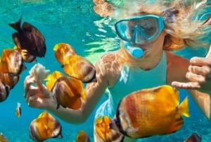 Zanzibar: safari med dhow, snorkling og lunsj