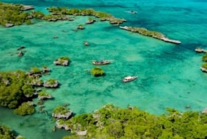 Zanzibar: safari med dhow, snorkling og lunsj