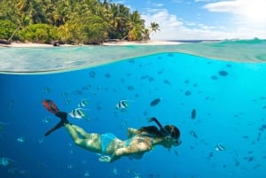 Sansibar| Safari Blue Experience