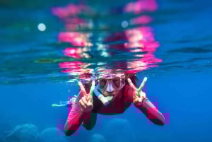 Sansibar| Safari Blue Experience