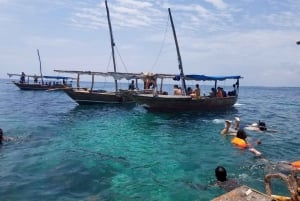 Занзибар: однодневная экскурсия на сафари, сноркелинг и обед-барбекю