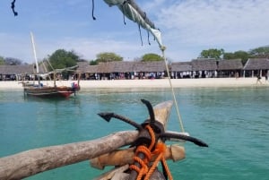 Занзибар: однодневная экскурсия на сафари, сноркелинг и обед-барбекю