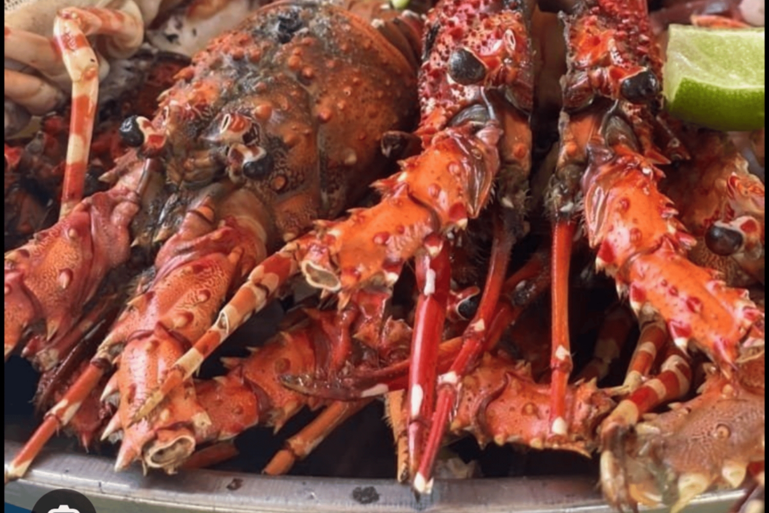 Zanzibar: Safari Blue-dagtour, snorkelen en lunch