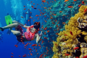 Zanzibar: Safari Blue-dagtour, snorkelen en lunch