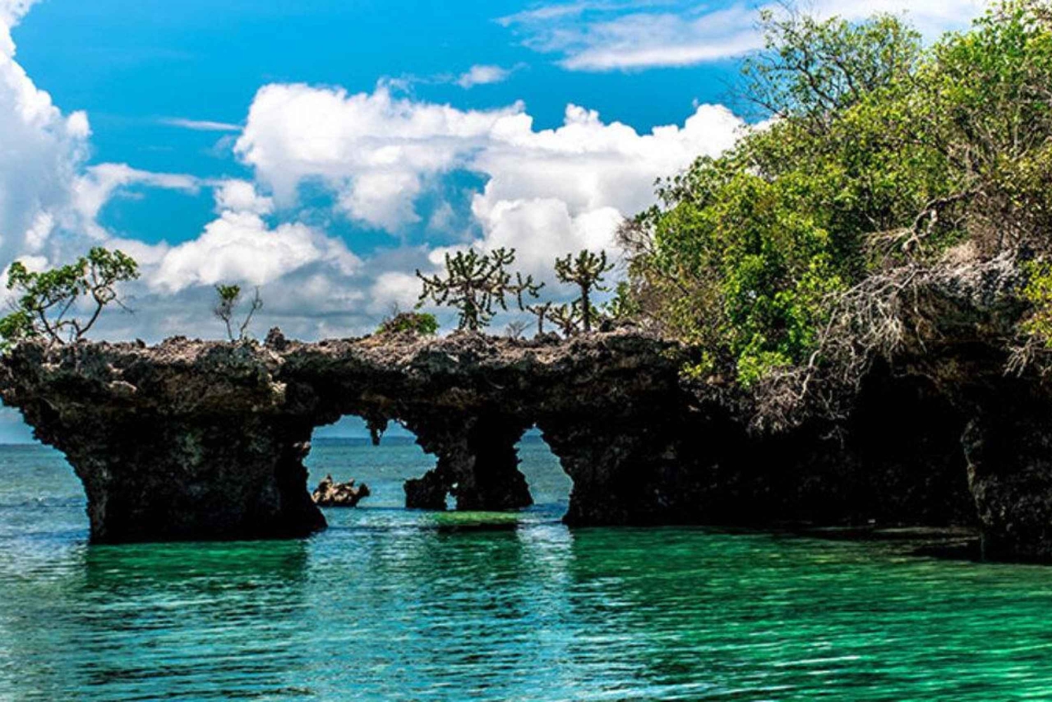 Zanzibar: Safari Blue Lagoon Trip with Snorkeling and Lunch