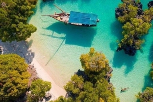 Zanzibar: Safari Blue Lagoon Trip with Snorkeling and Lunch