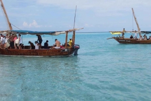 Zanzibar: Safari Blue Privétour Hele dag