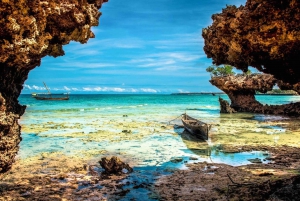 Zanzibar: Excursão particular Safari Blue de 1 dia