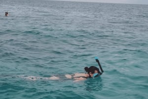 Zanzibar: Safari Blue privat tur med skaldjurslunch